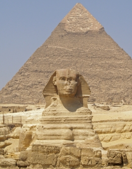 sphynx